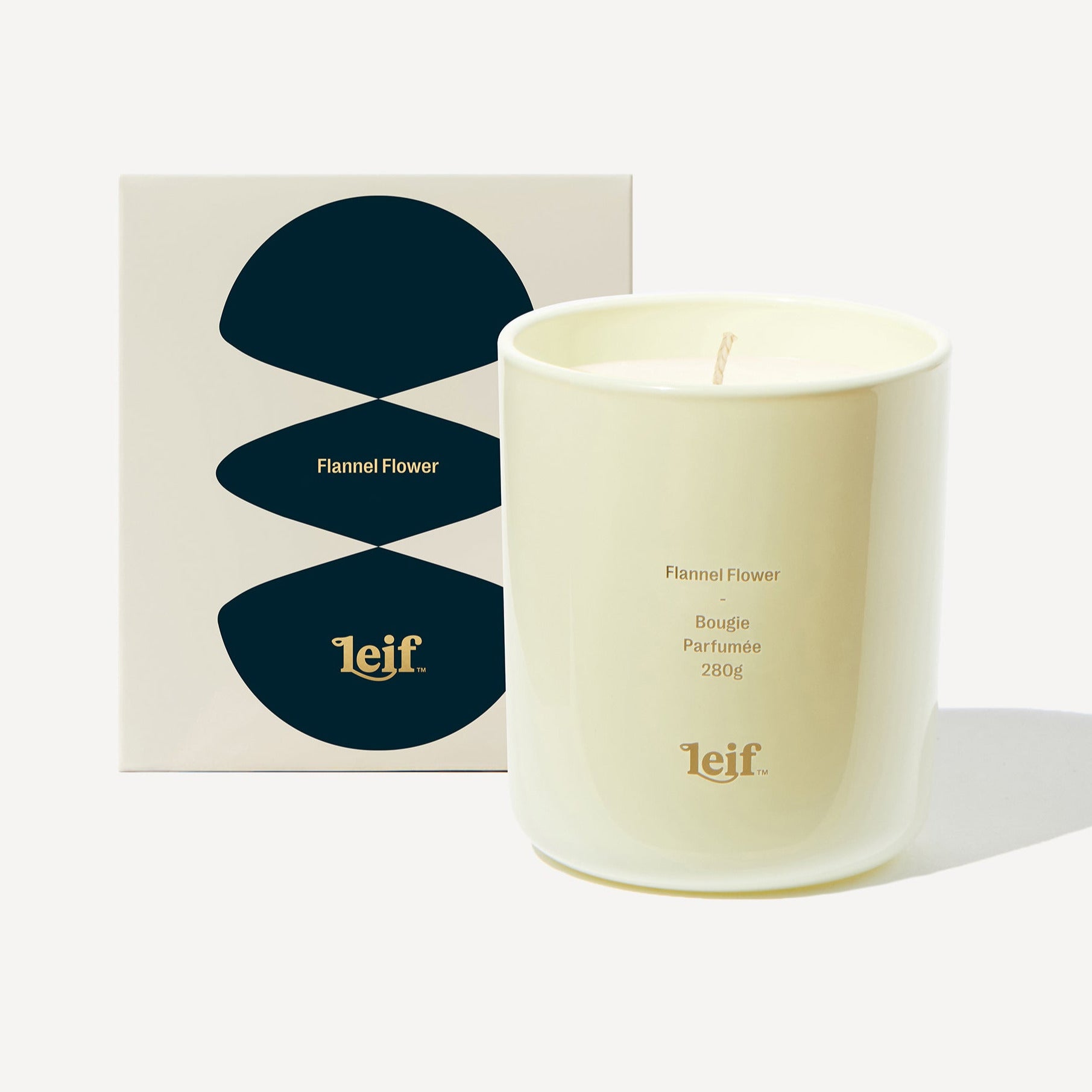 LEIF FLANNEL FLOWER CANDLE