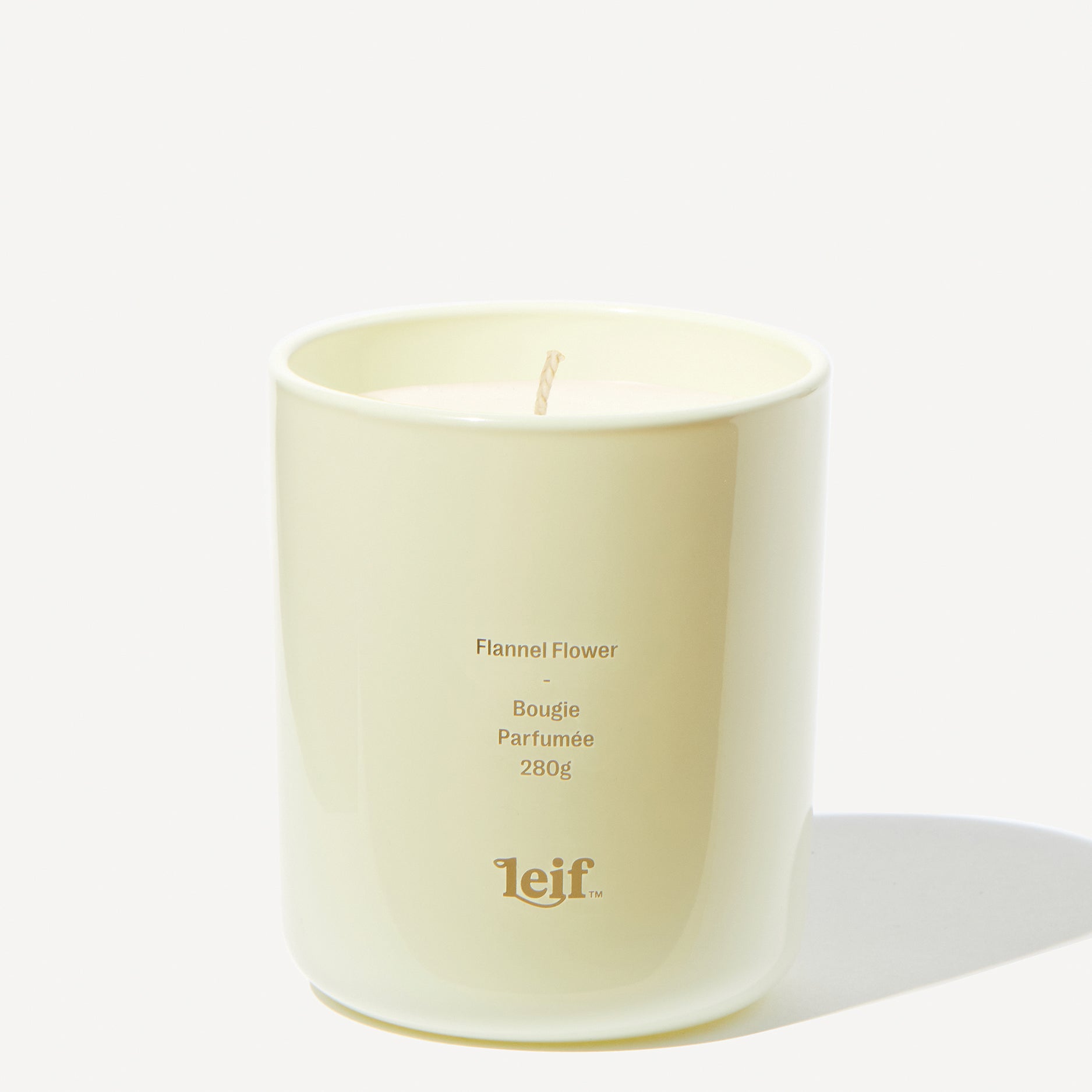 LEIF FLANNEL FLOWER CANDLE