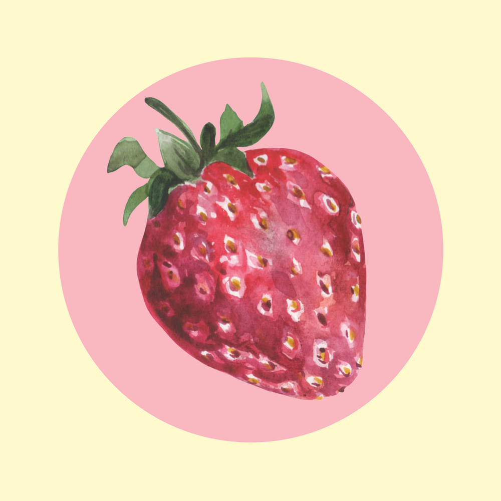 Discover gifts at Common Circus, Newcastle! Jewelry by Cleopatra's Bling & Arms of Eve, treasures from Bopo Women, Sage and Clare, This is Incense & more. Shop now!