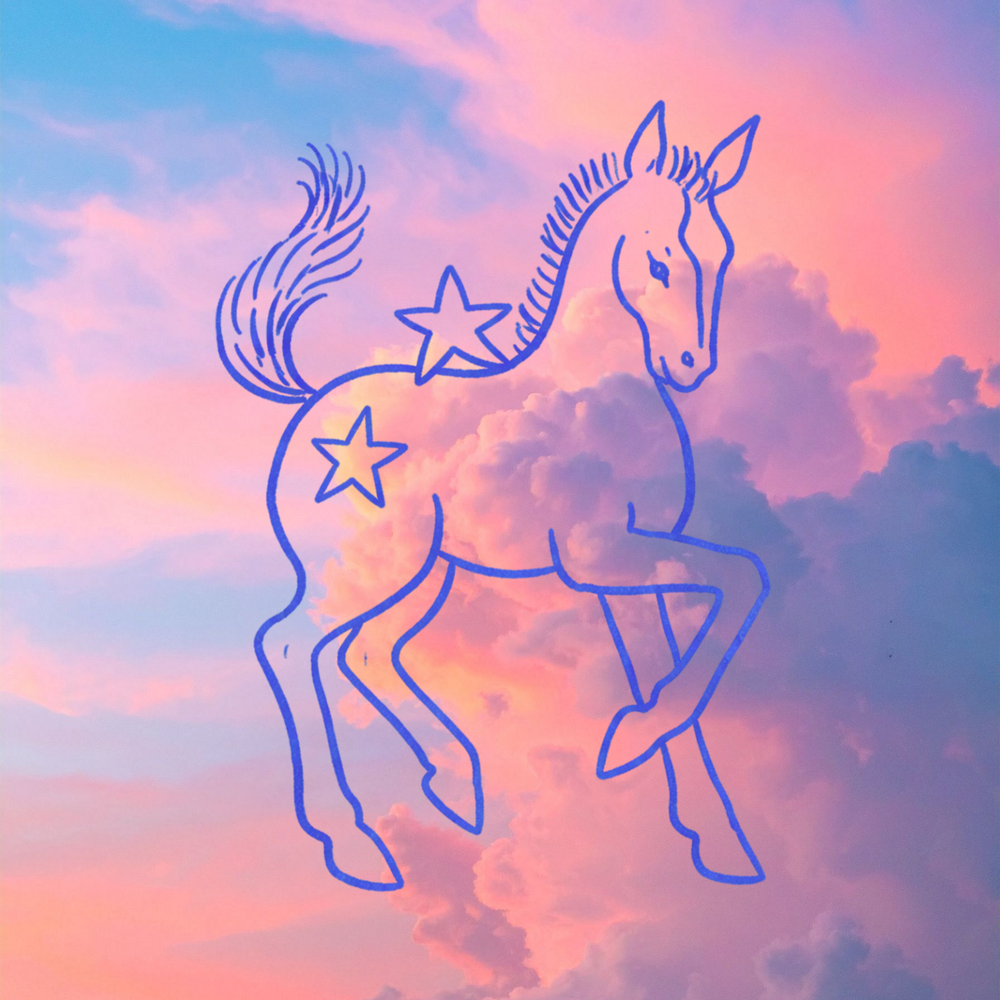 Discover perfect gifts for him at Common Circus! Elevate his gifting with Wandering Folk, Azteca, and captivating camping & cocktail books. Shop online or in-store, Newcastle.