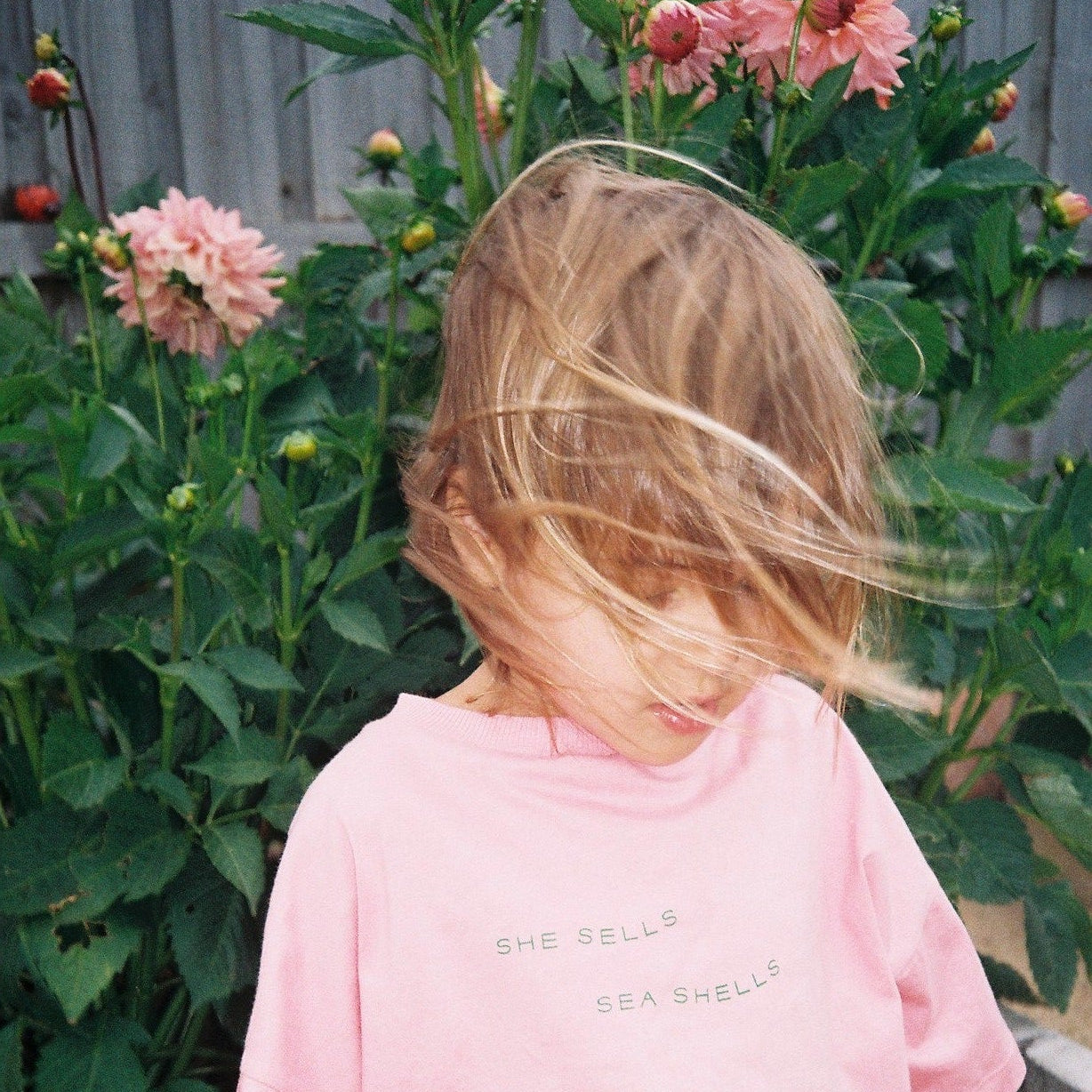 ILLOURA THE LABEL SHE SELLS SEA SHELLS TEE: PEONY