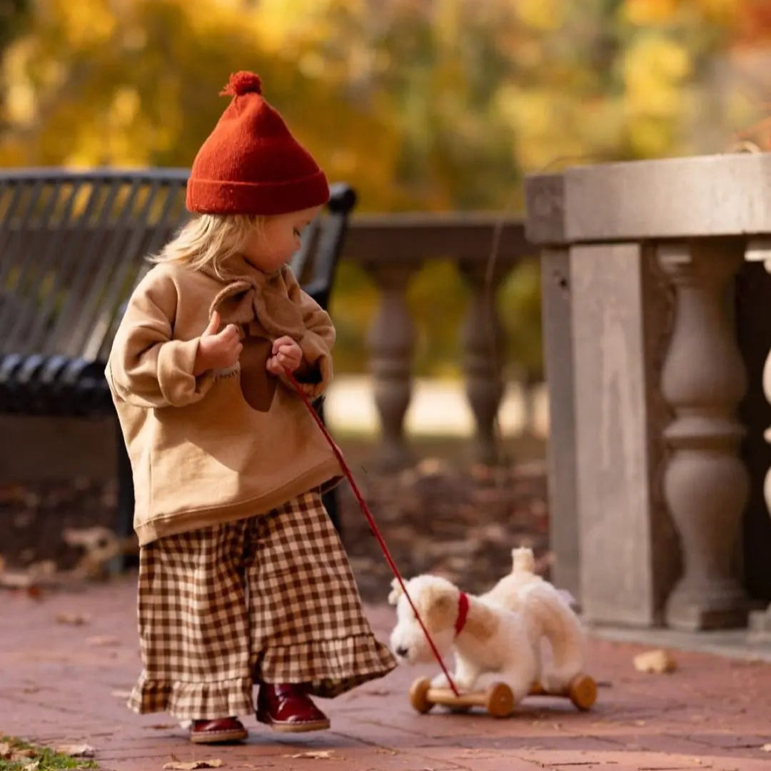 ELIOT PULL ALONG TOY