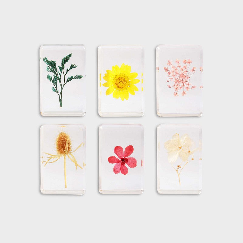 KLEVERING CUBE WILDFLOWER: SMALL