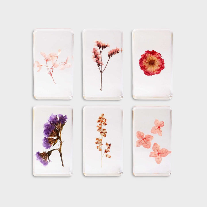 KLEVERING CUBE WILDFLOWER: LARGE