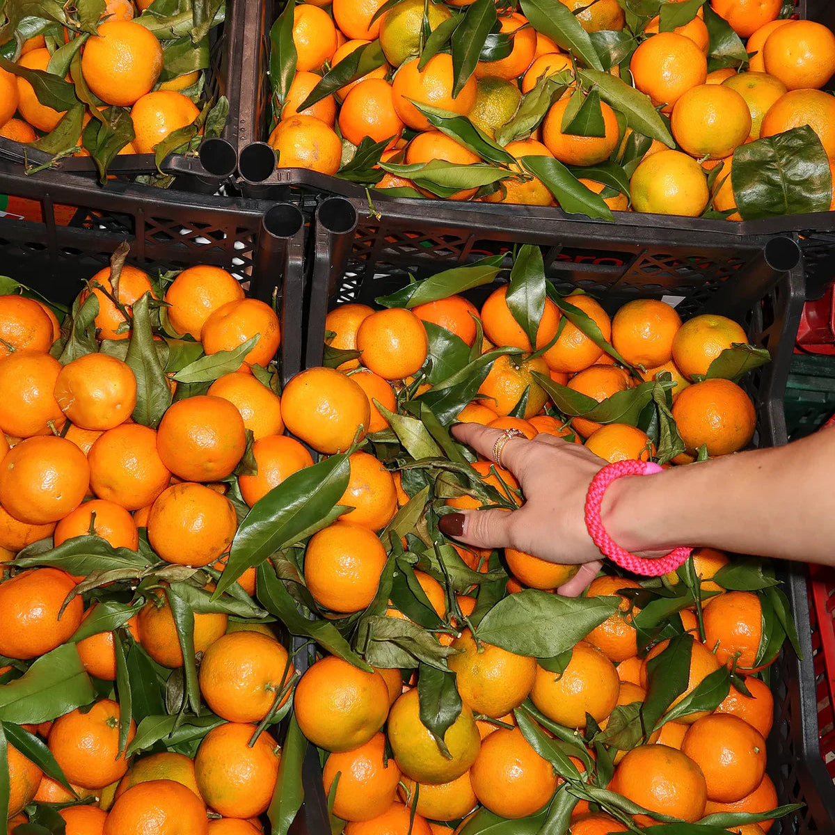 KKNEKKI ORIGINAL HAIR TIES: PLAIN