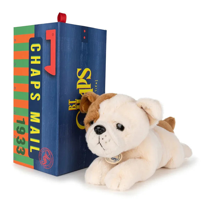 BT CHAPS BERTHA THE AMERICAN BULLDOG