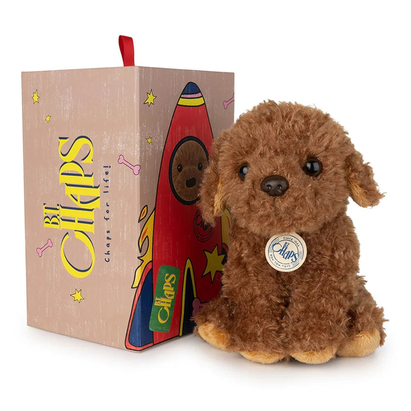 BT CHAPS STACY THE LABRADOODLE