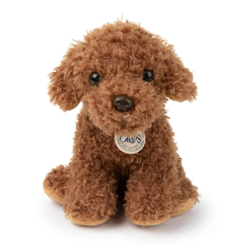 BT CHAPS STACY THE LABRADOODLE