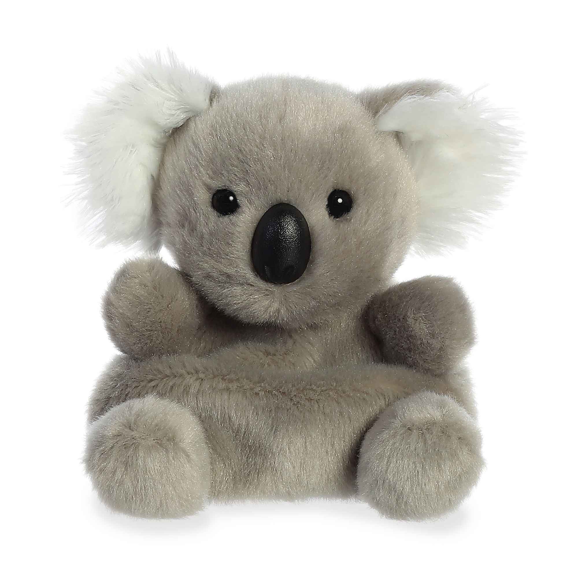 PALM PAL: WIGGLES KOALA