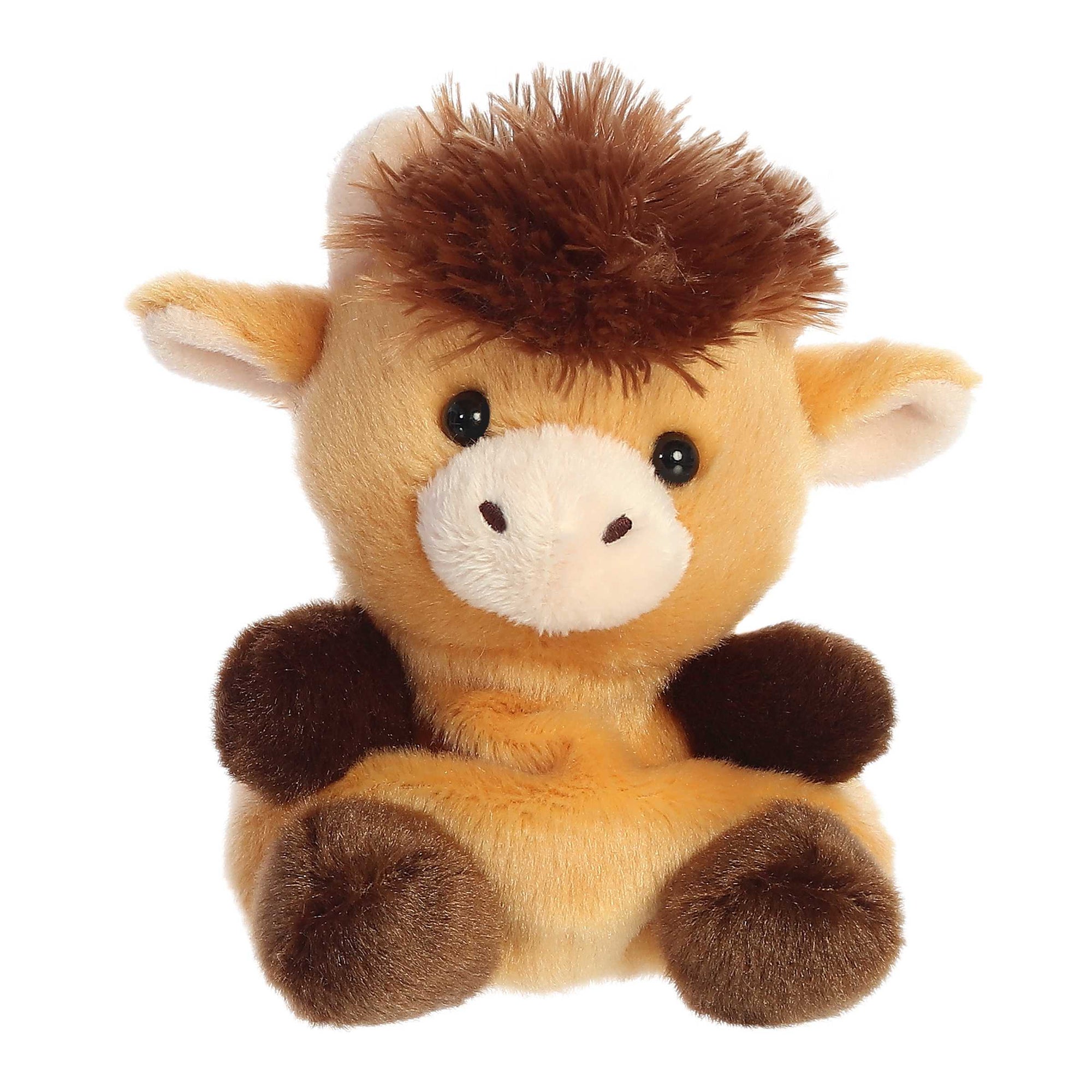 PALM PAL: HIGHLAND COW