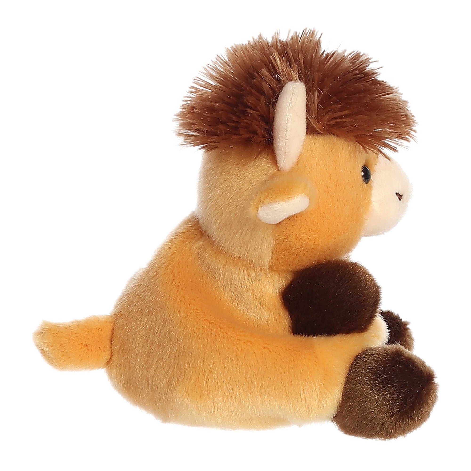 PALM PAL: HIGHLAND COW