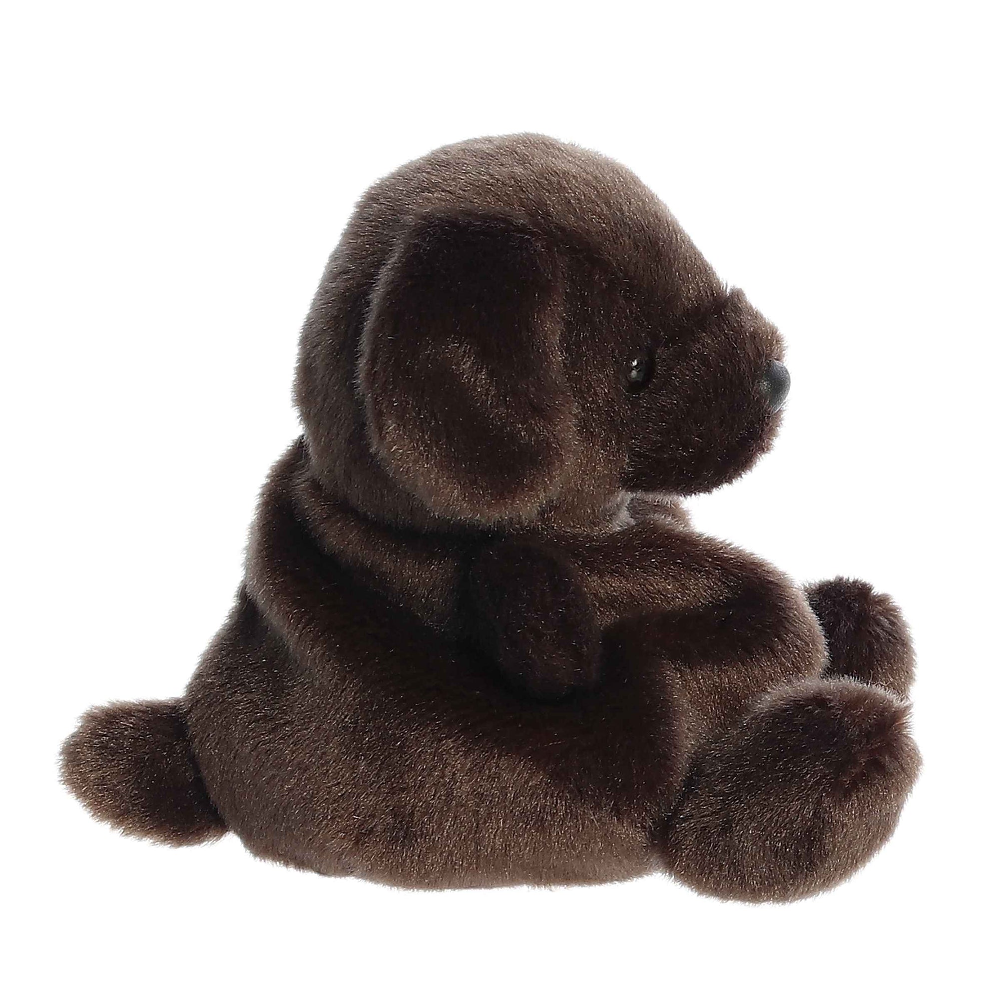 PALM PAL: SIENNA CHOCOLATE LAB