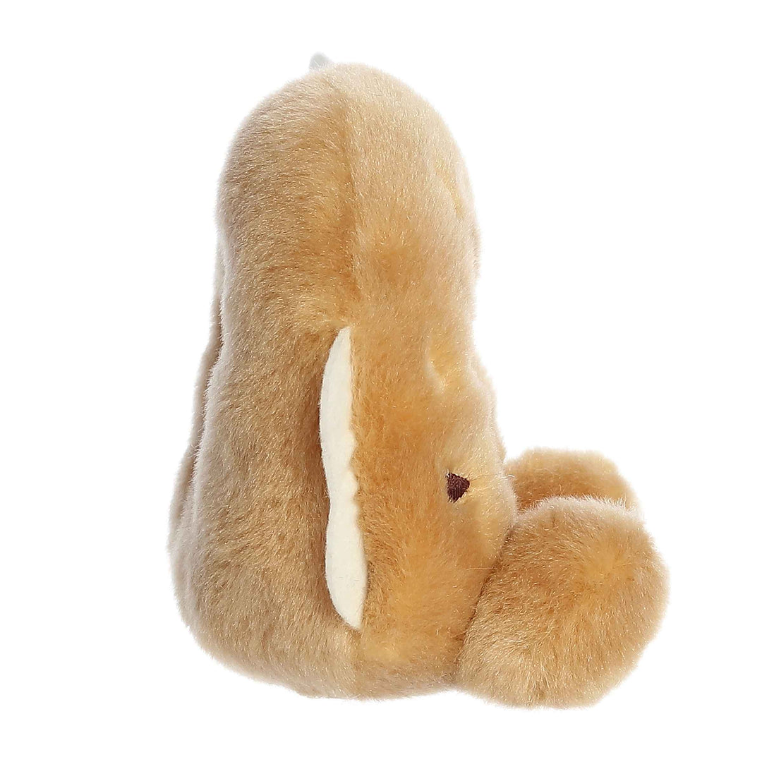 PALM PAL: BAGEL