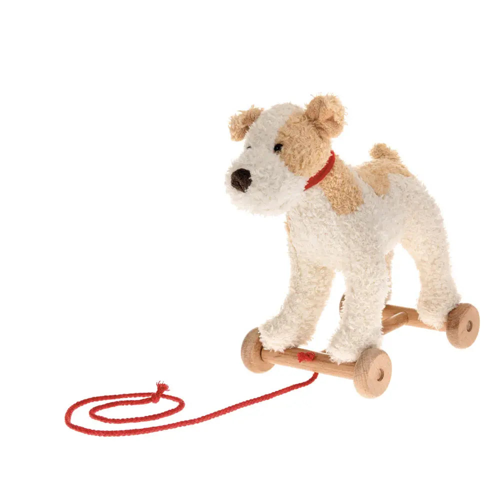 ELIOT PULL ALONG TOY