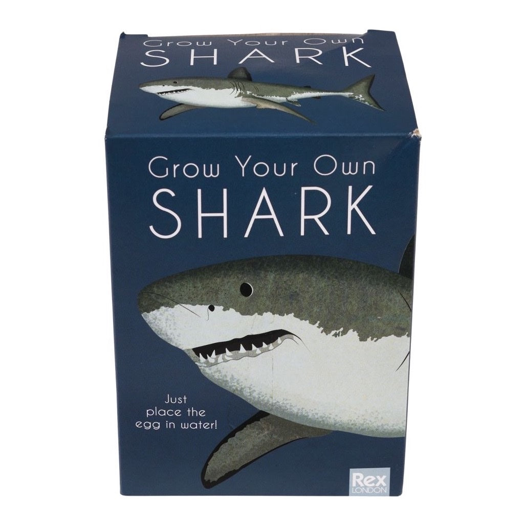 REX LONDON GIANT HATCHING SHARK EGG