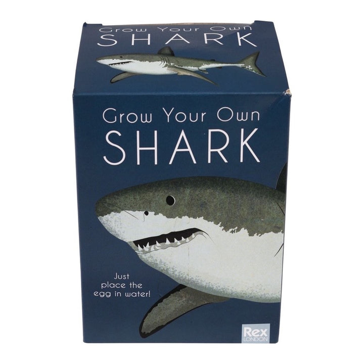 REX LONDON GIANT HATCHING SHARK EGG