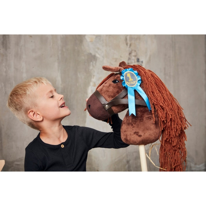 ASTRUP HOBBY HORSE ROSETTES