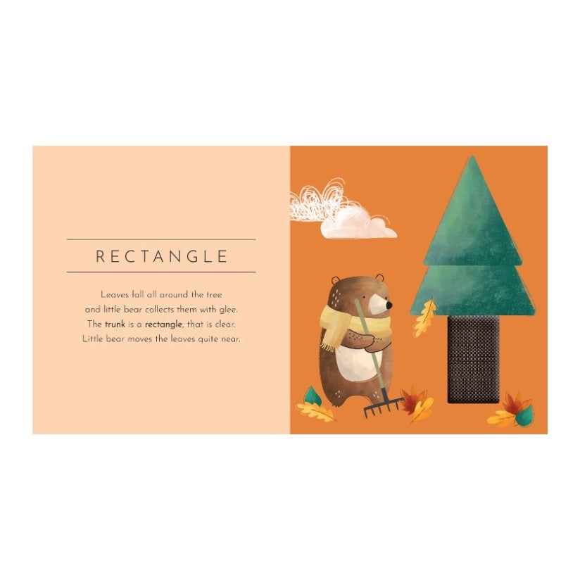 SASSI TOUCH &amp; FEEL POCKET BOOK, SHAPES