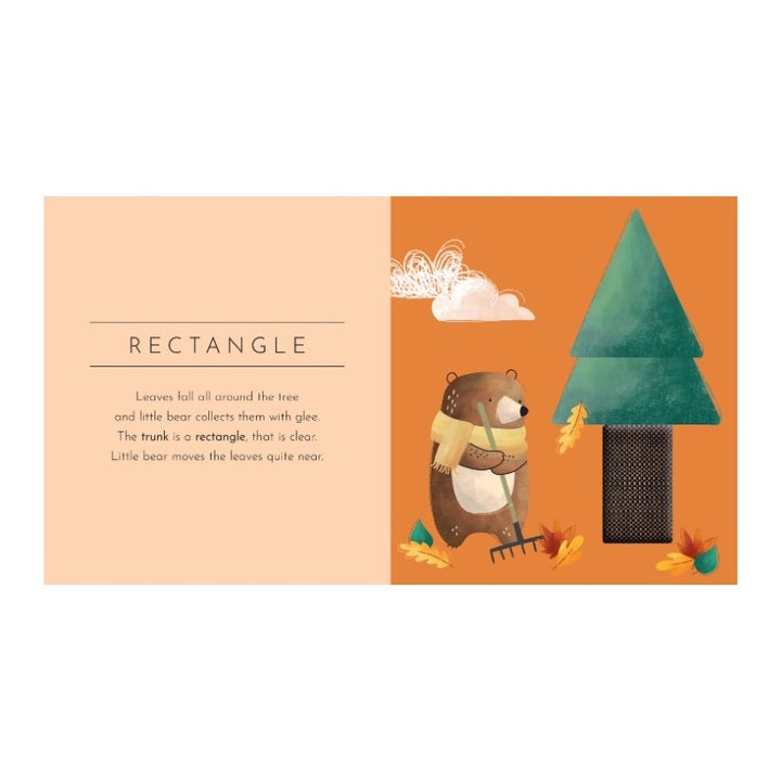SASSI TOUCH &amp; FEEL POCKET BOOK, SHAPES