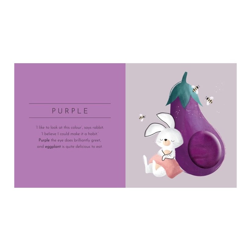 SASSI TOUCH & FEEL POCKET BOOK, COLOURS