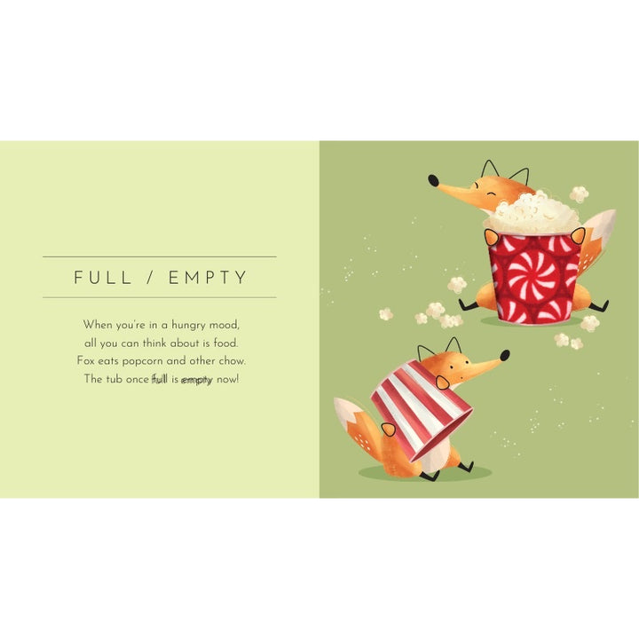 SASSI TOUCH &amp; FEEL POCKET BOOK, OPPOSITES