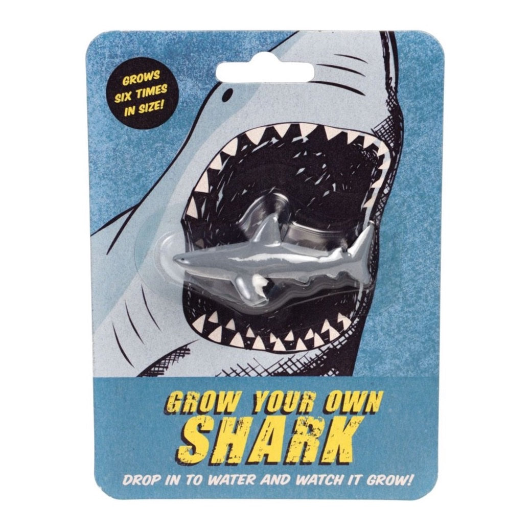 Rex London Grow Your Own, Shark