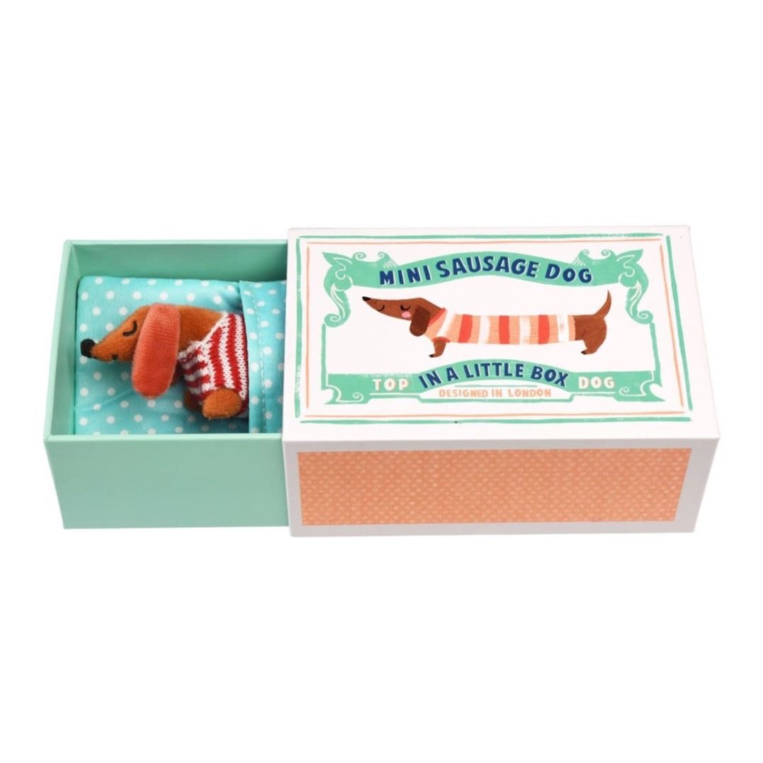 Rex London Mini Sausage Dog In A Box