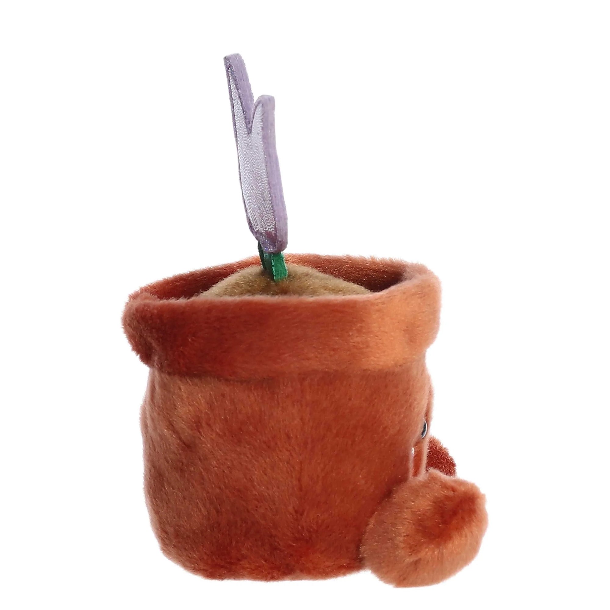 PALM PAL: HOLLAND POTTED TULIP