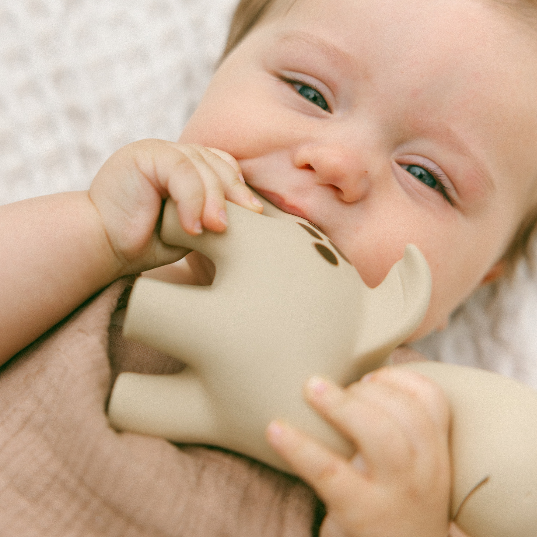 Winnie Parkes Diplo The Dino-Dragon Teether Brown