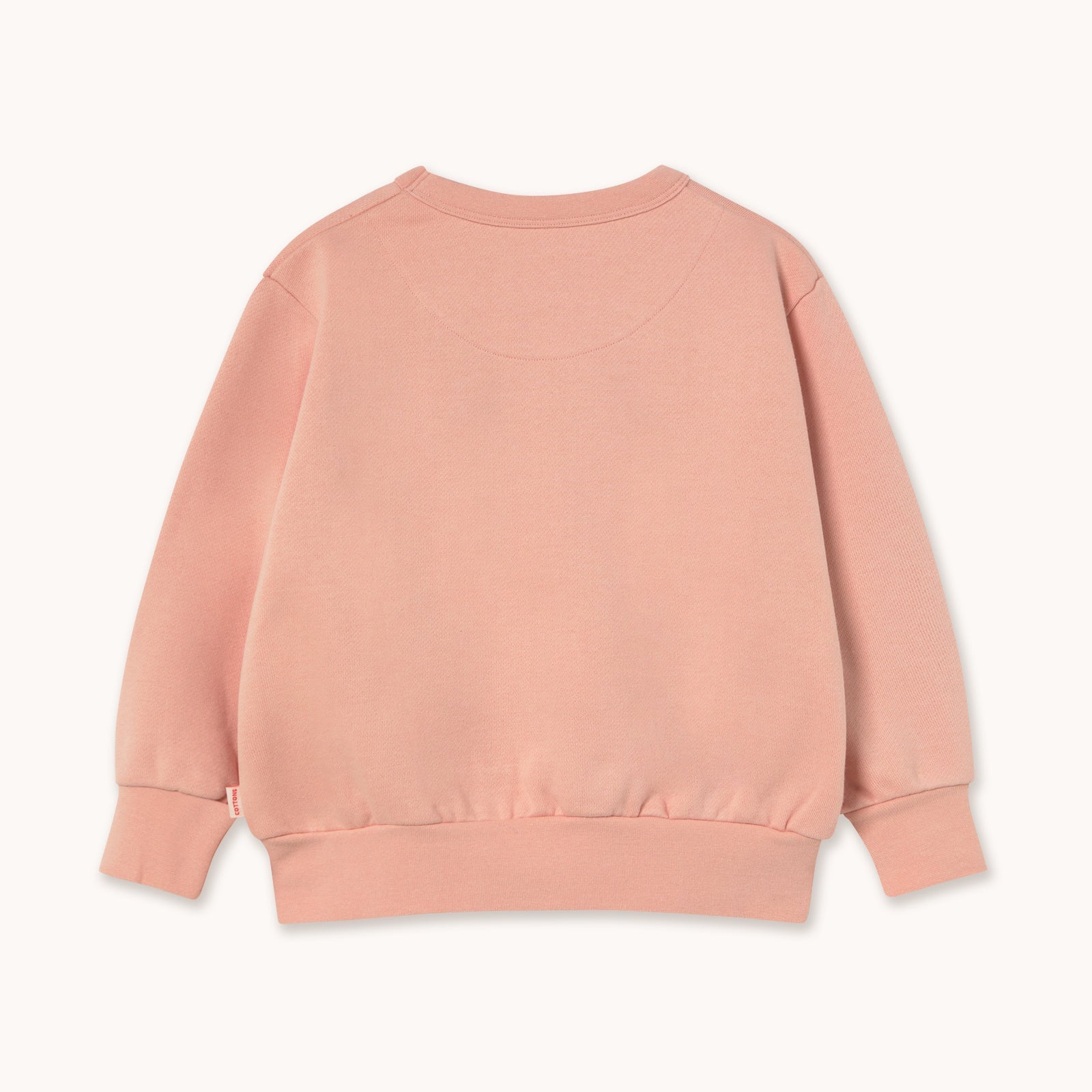 TINY COTTONS WALK GRAPHIC SWEATSHIRT: WILD ROSE