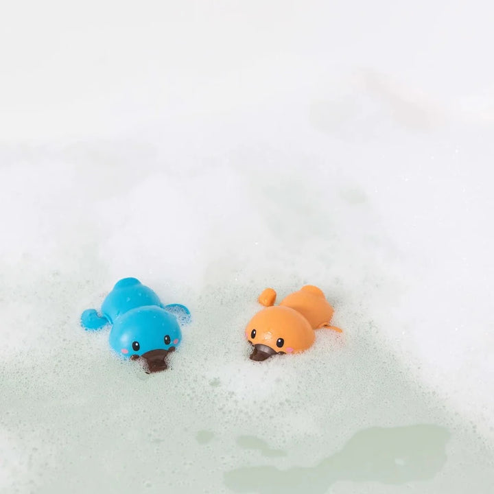 TIGER TRIBE BATH RACERS 2PC: PLATYPUS
