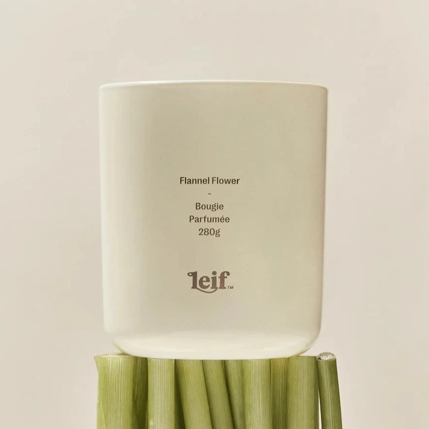 LEIF FLANNEL FLOWER CANDLE