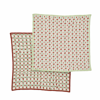 KIT RECYCLED COTTON DISHCLOTH: SAGE