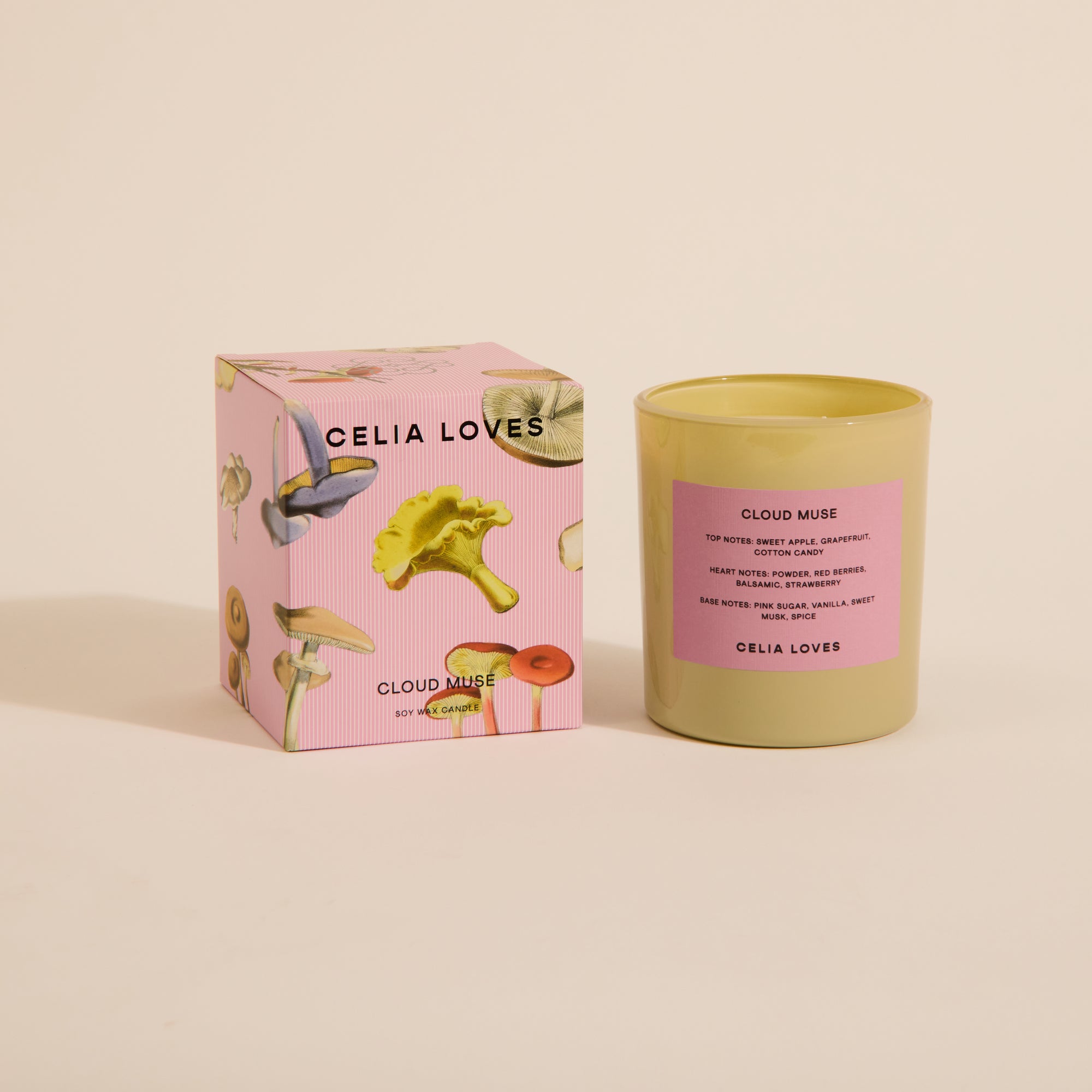 CELIA LOVES FIELD NOTES CANDLE: CLOUD MUSE