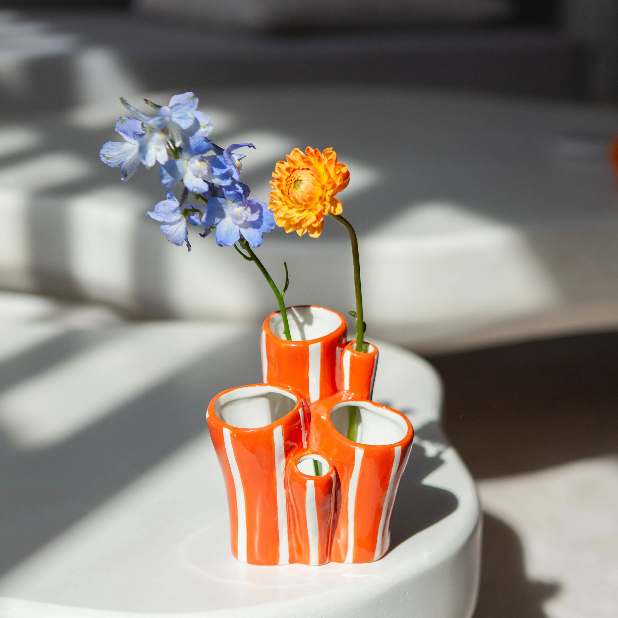 DOIY OCEAN DREAMS CORAL POT