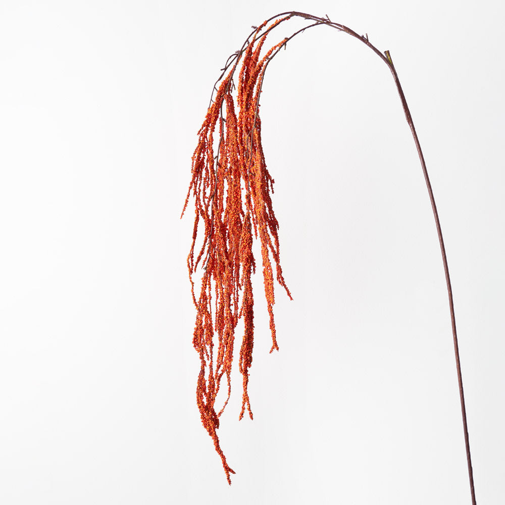 AMARANTHUS SPRAY: ORANGE 172CM