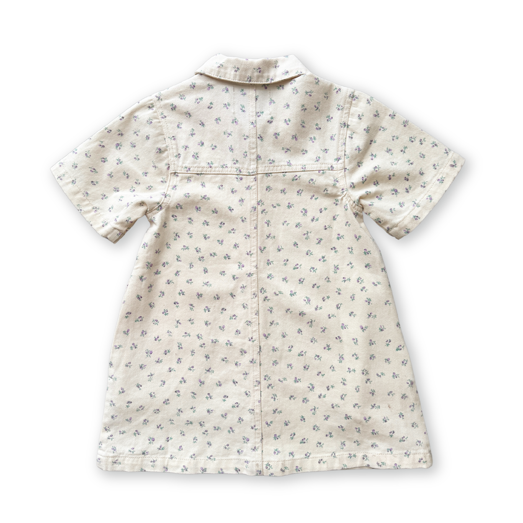 GROWN COLLAR DRESS: GARDEN