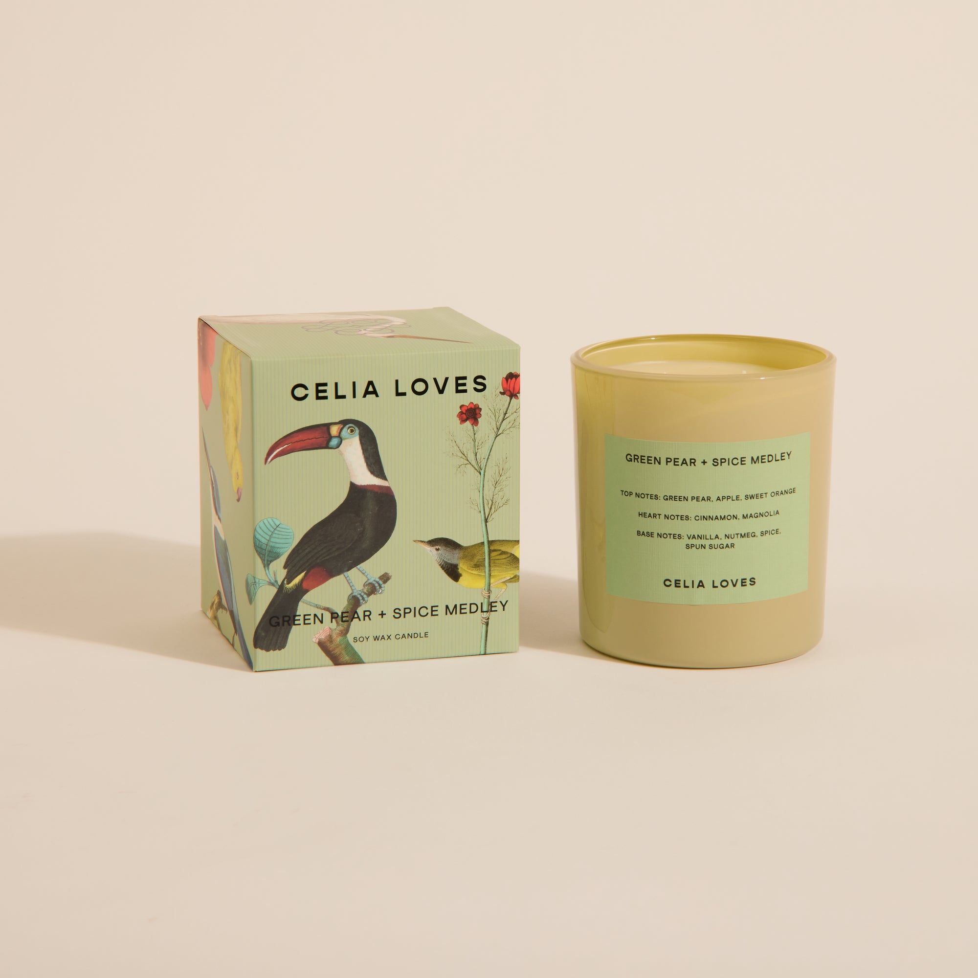 CELIA LOVES FIELD NOTES CANDLE: GREEN PEAR SPICED MEDLEY