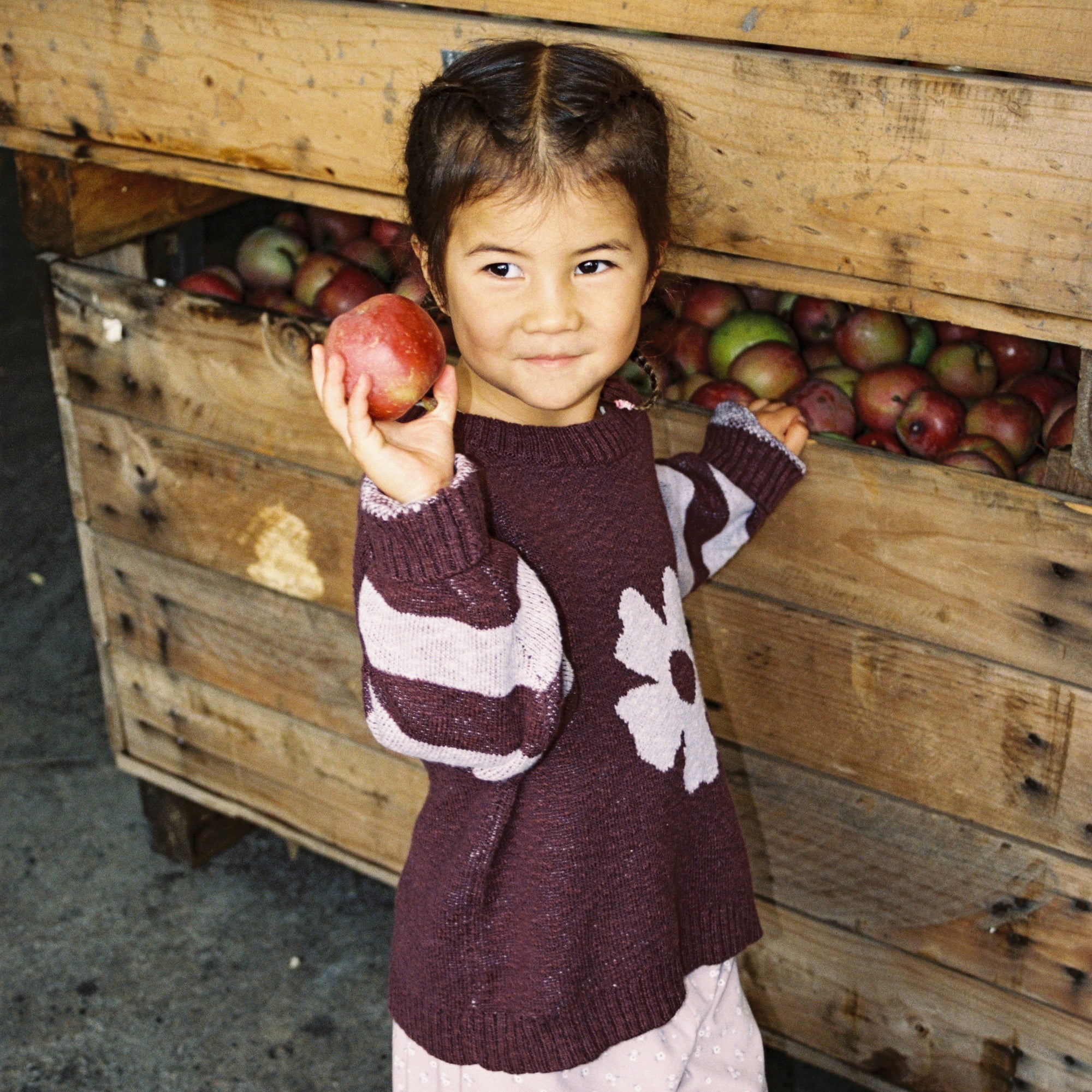GROWN BLOOM KNIT PULL OVER: PLUM