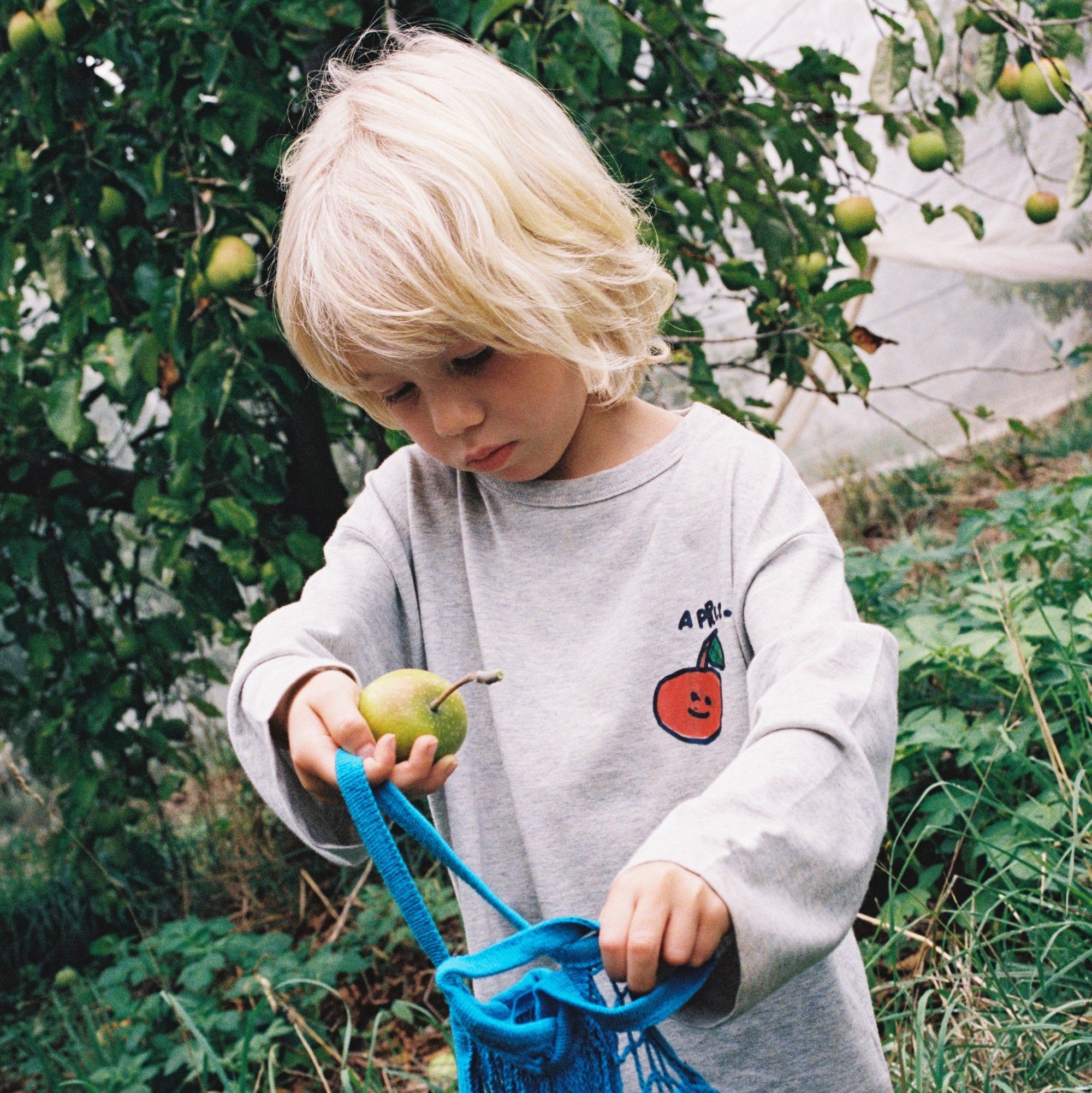 GROWN ORGANIC FRUIT SALAD L/SLEEVE TEE: GREY MARLE