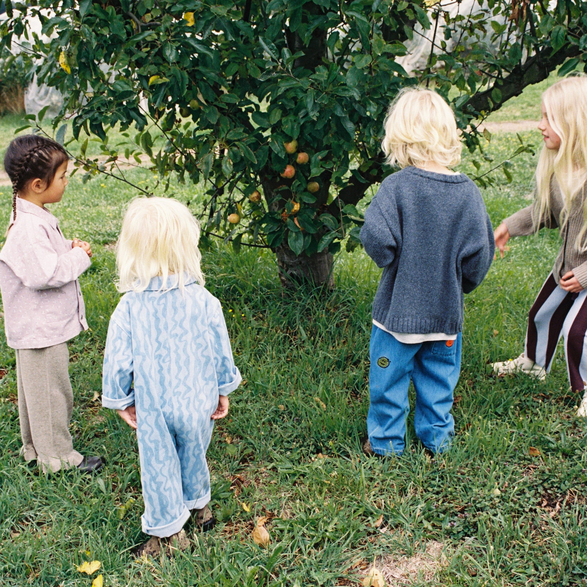 GROWN ORGANIC FRUIT SALAD DENIM PANTS