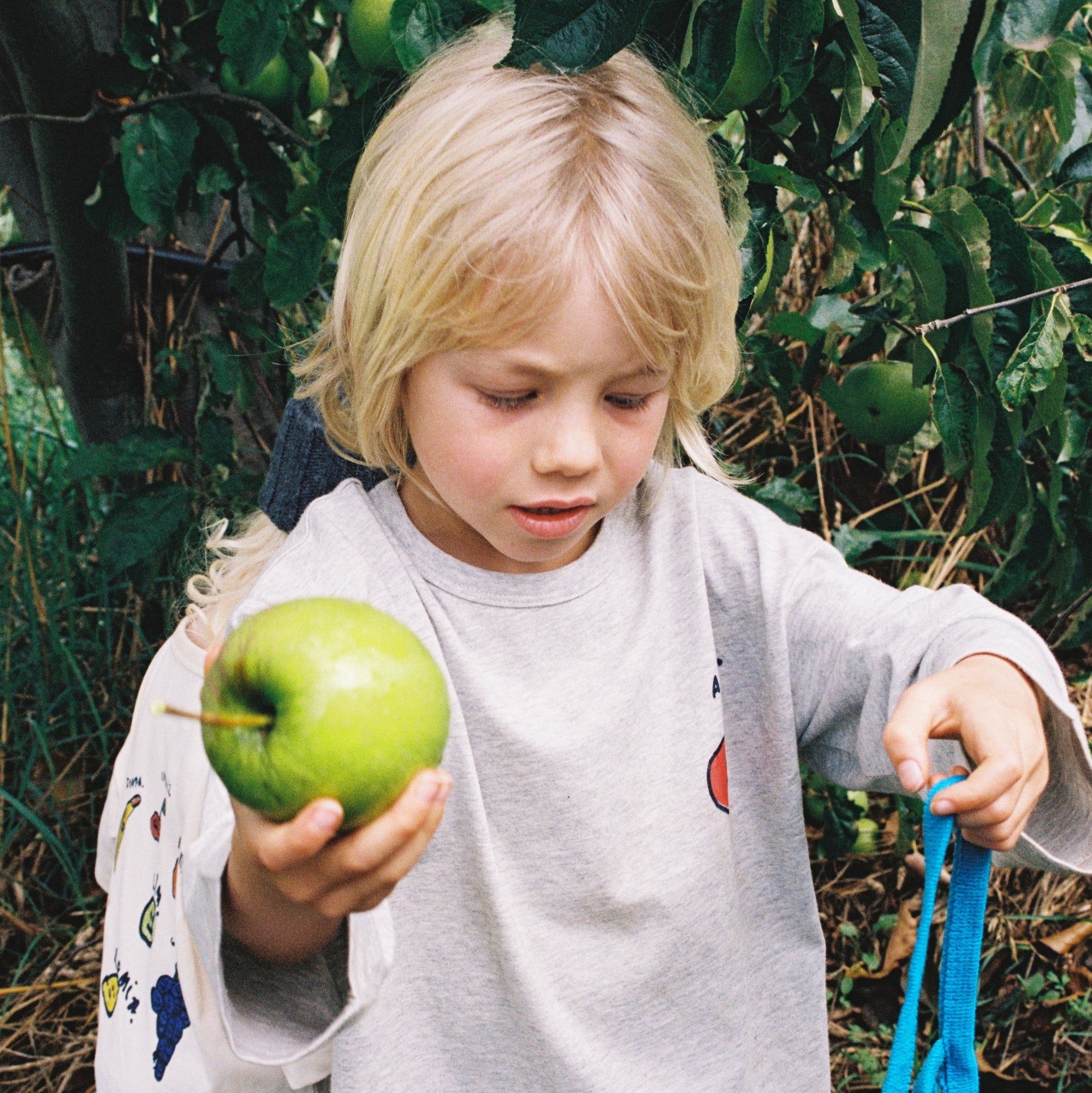 GROWN ORGANIC FRUIT SALAD L/SLEEVE TEE: GREY MARLE