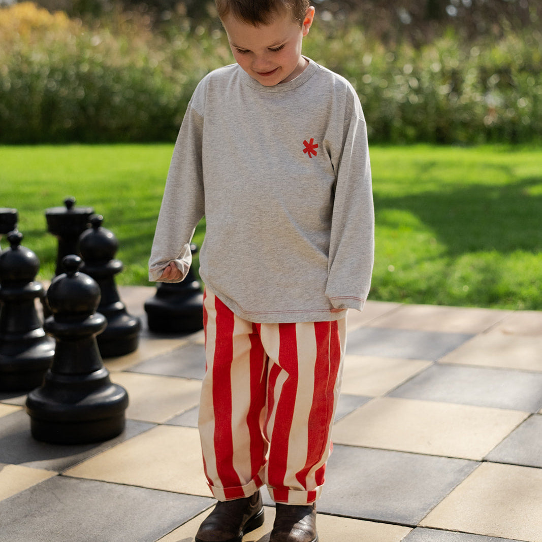GROWN ORGANIC HAVE A NICE DAY L/S TEE: GREY MARLE