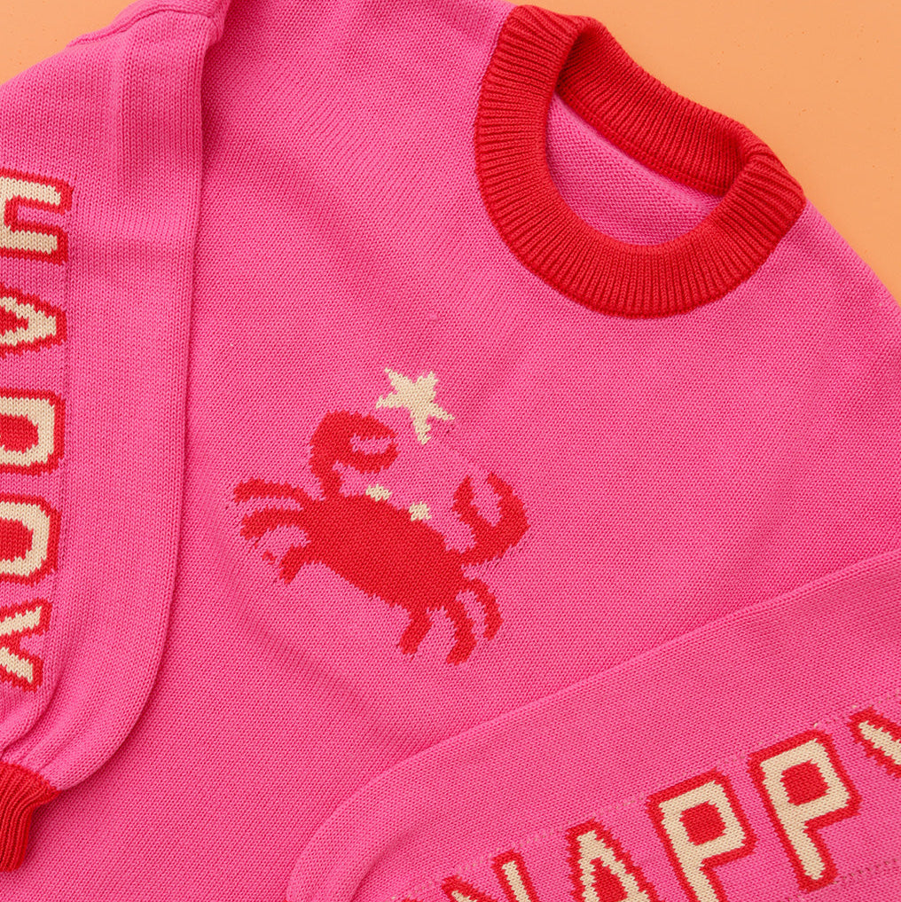 SMALL SWIM CLUB SNAP HAPPY JUMPER