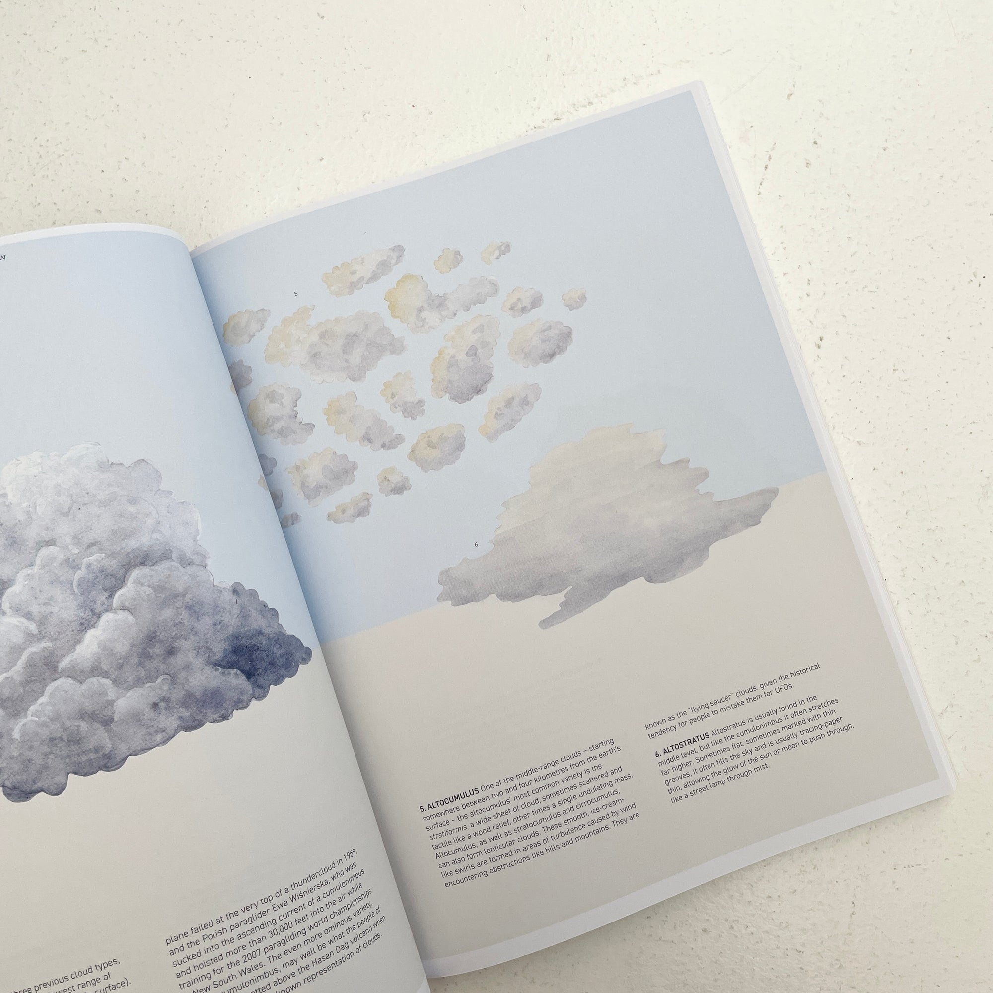 FRANKIE MAGAZINE: ISSUE 128