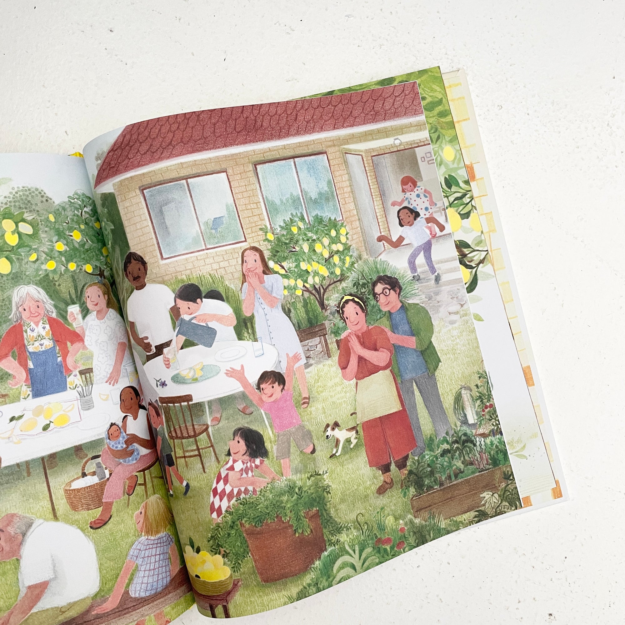 SUNDAYS UNDER THE LEMON TREE