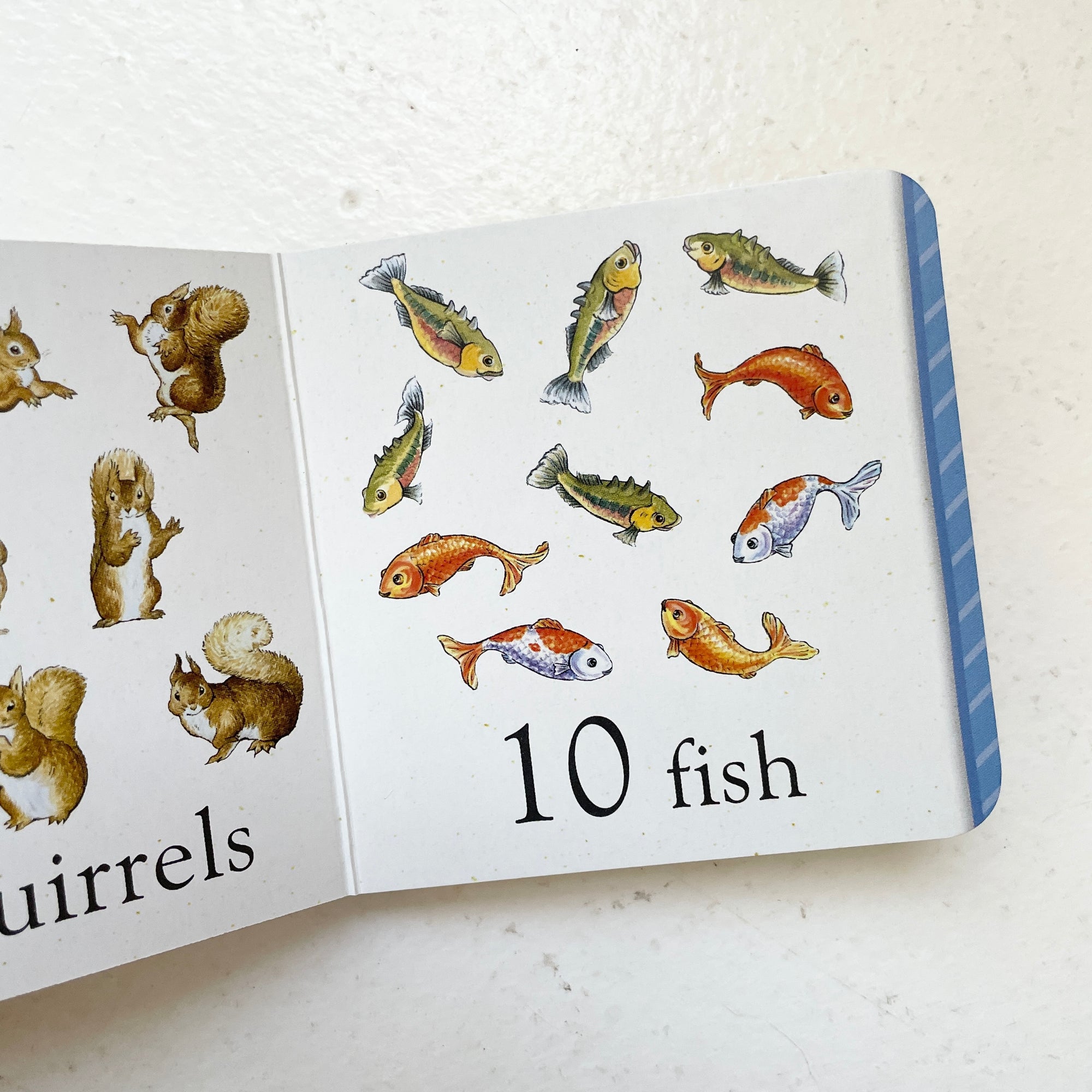 PETER RABBIT: MY FIRST LIBRARY