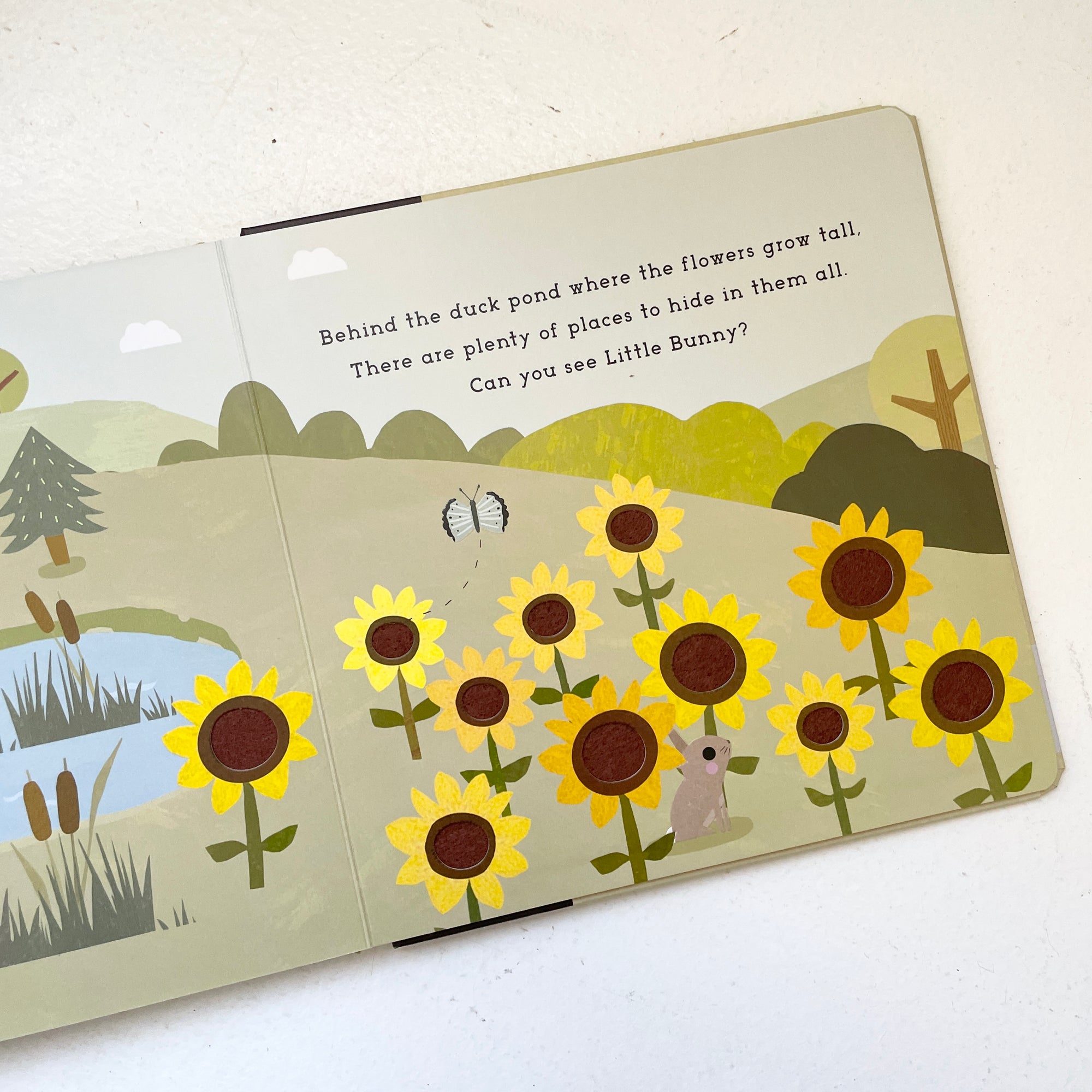 BABY PLAY: BUNNY AND FRIENDS