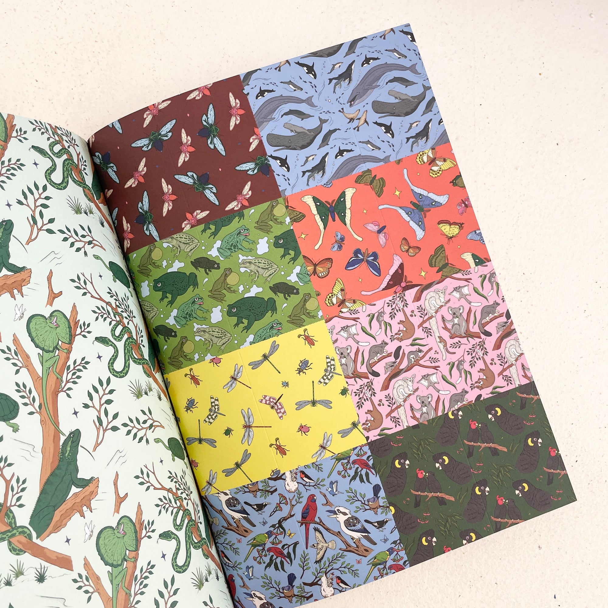 THE MUSEUM UNWRAPPED