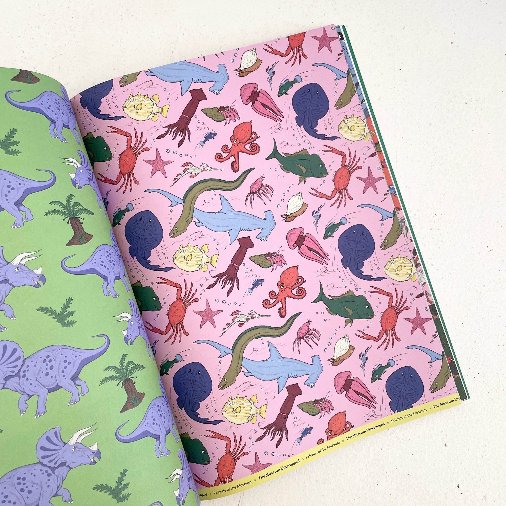 THE MUSEUM UNWRAPPED